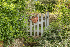 Back Hill Shotteswell